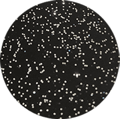 Black with Silver Glitter [+د.إ15.00]