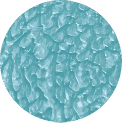 Ocean Light Blue [+د.إ15.00]